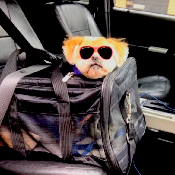 Meet your Posher, Emanuel - Picture 1 of 1